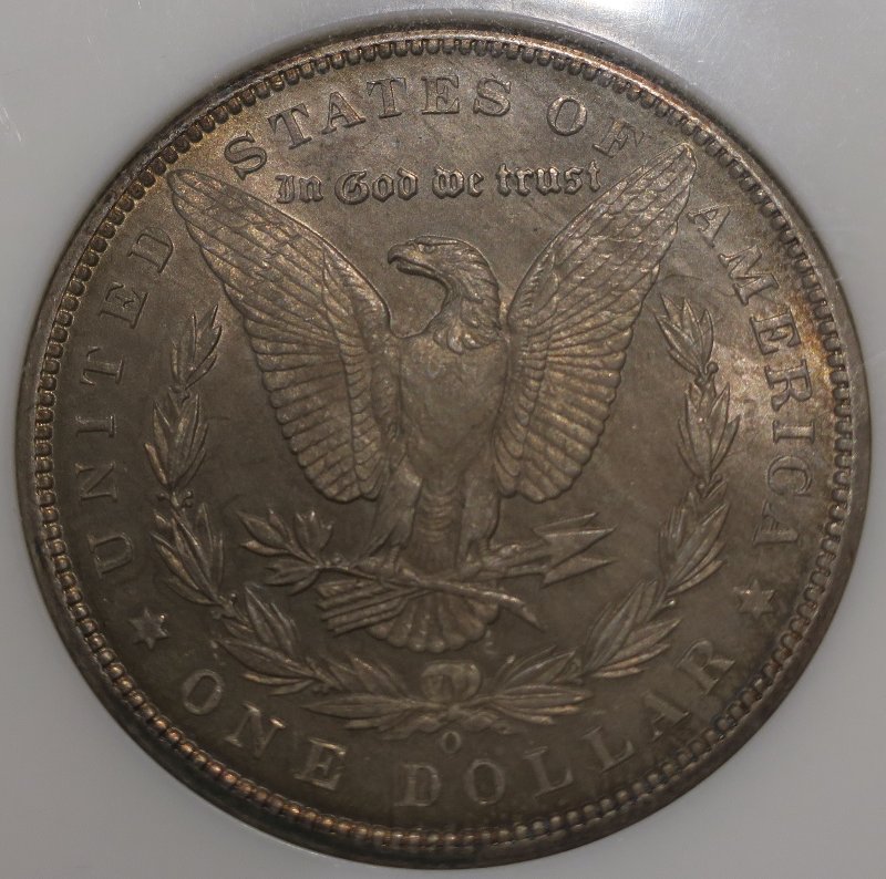 You-Vs-NGC-1899-O-Morgan-Dollar